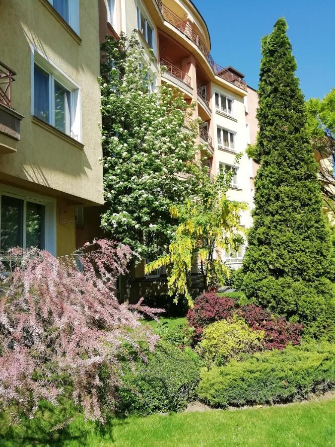 Aparthouse Borovo Sofie Exteriér fotografie